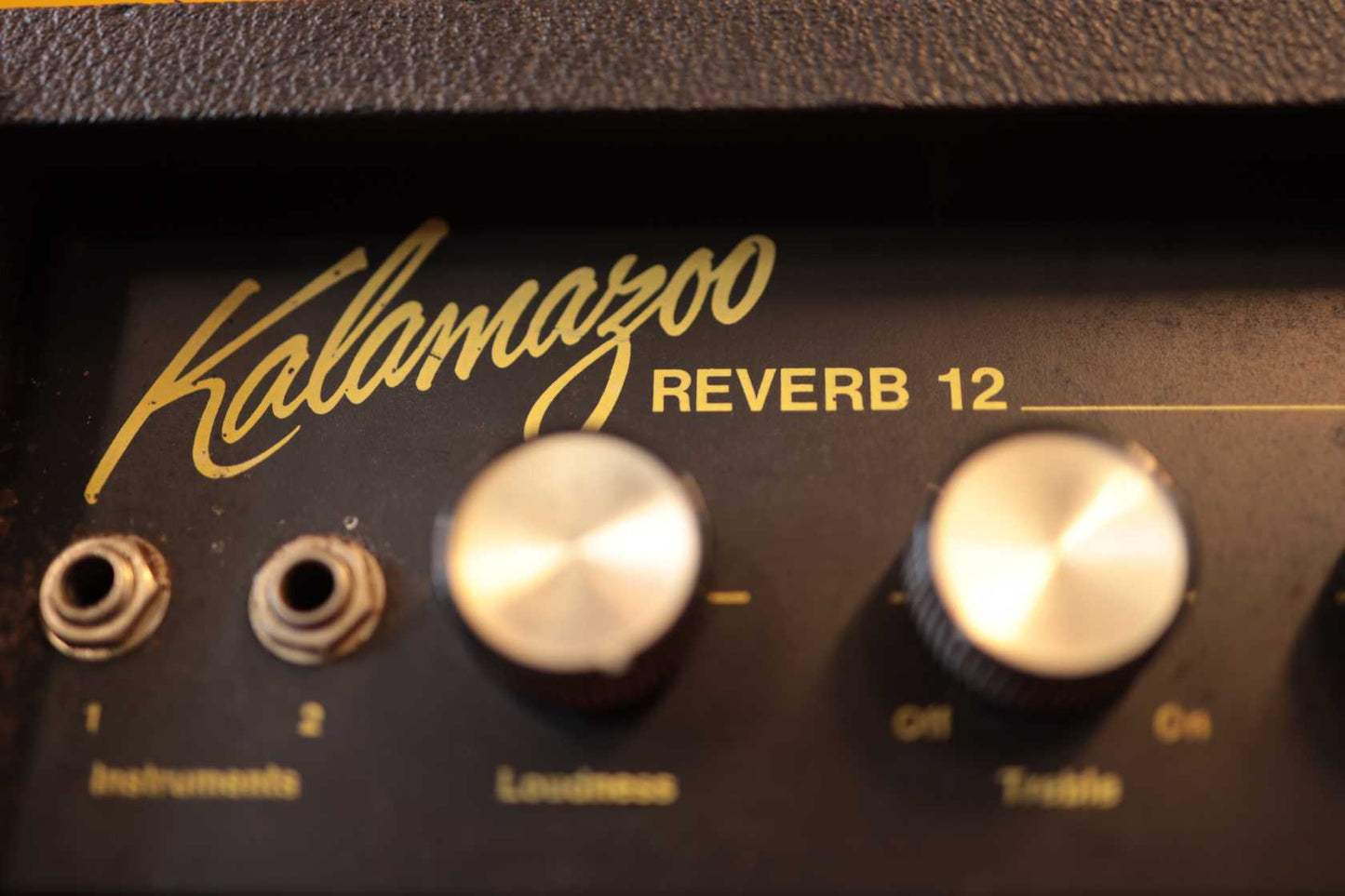 Kalamazoo Reverb 12 (1966)