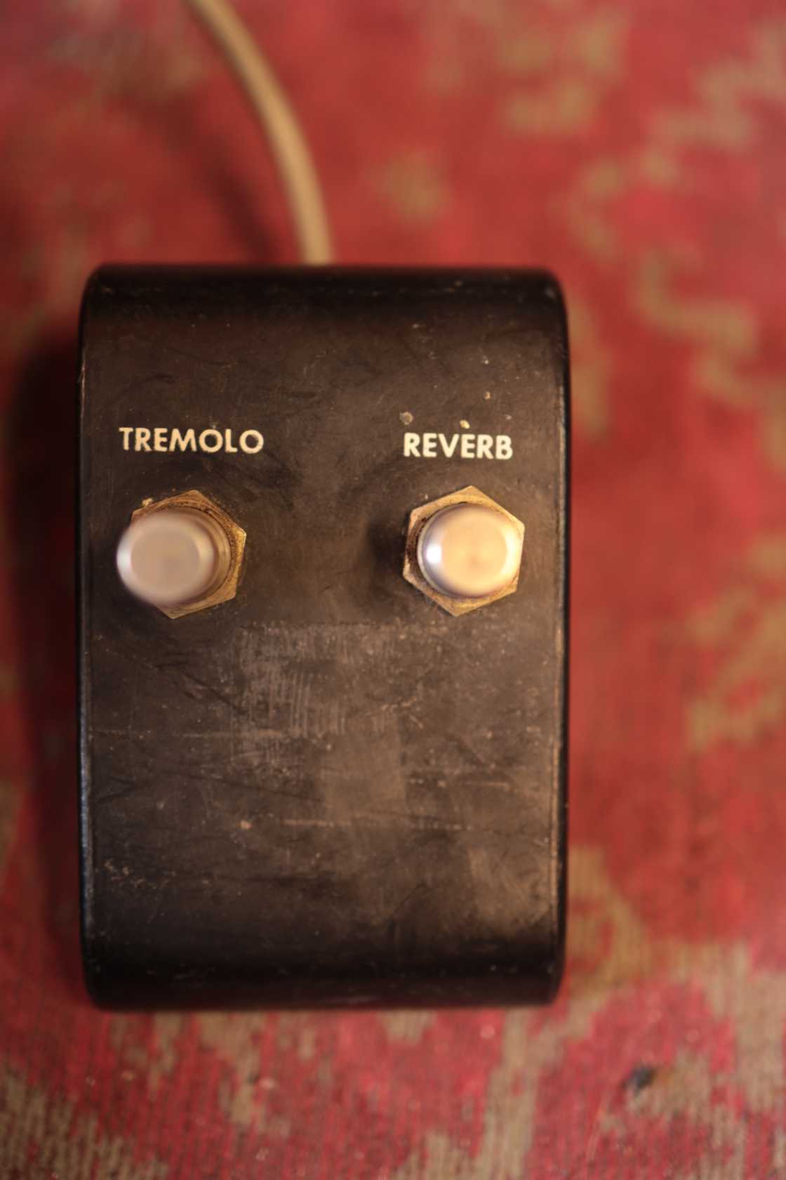 Kalamazoo Reverb 12 (1966)